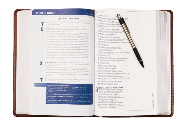 A study resource inside the NET Bible titled, "Who Is God?"