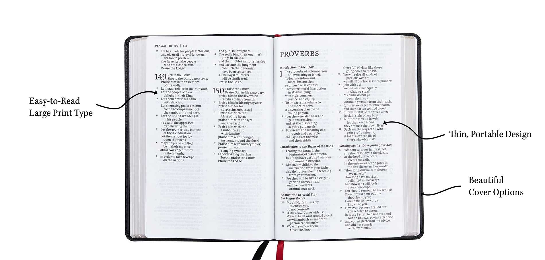 A breakdown of the resources inside a NET Bible