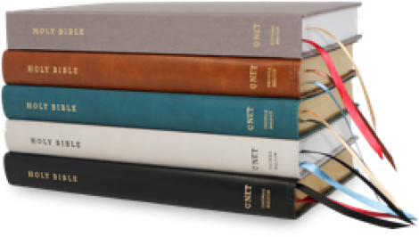 A stack of Bibles