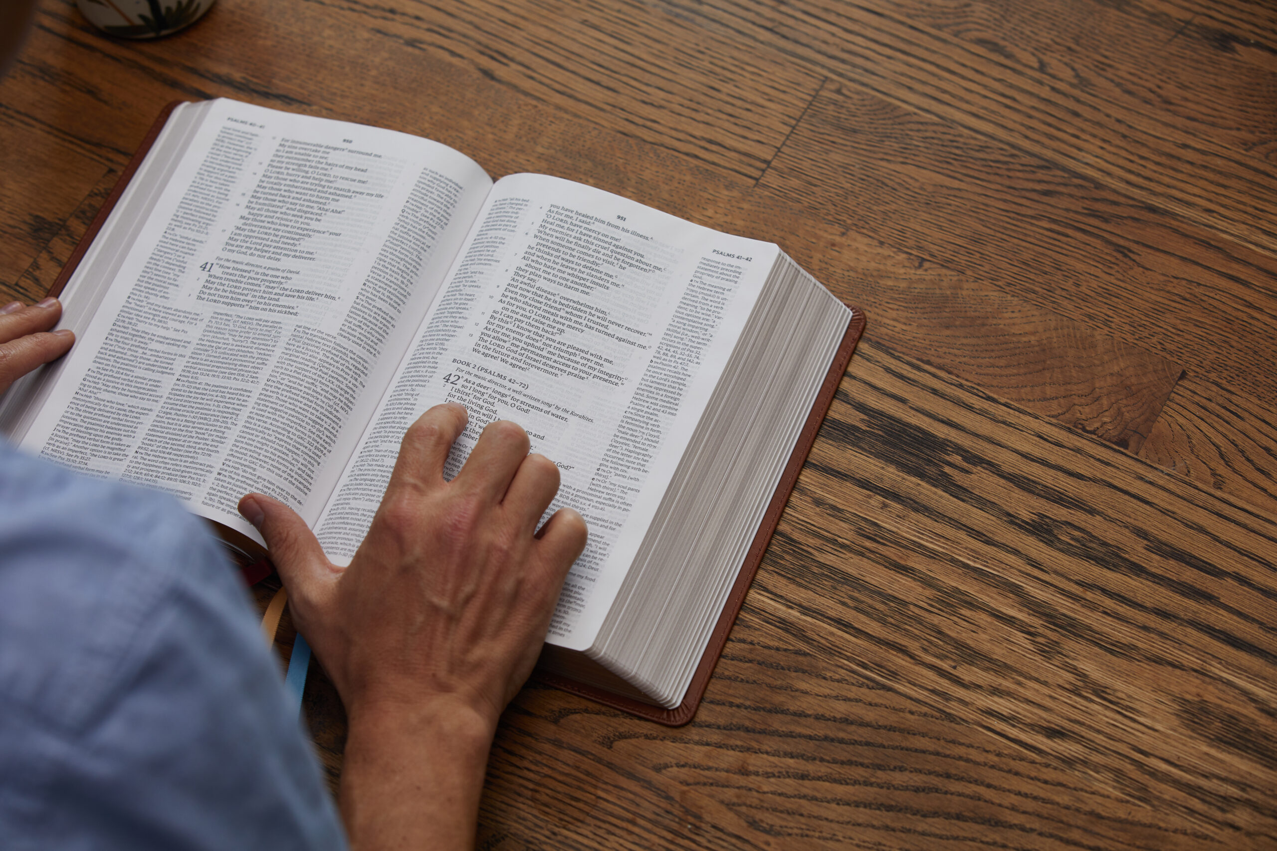 A man studying the book of Matthew