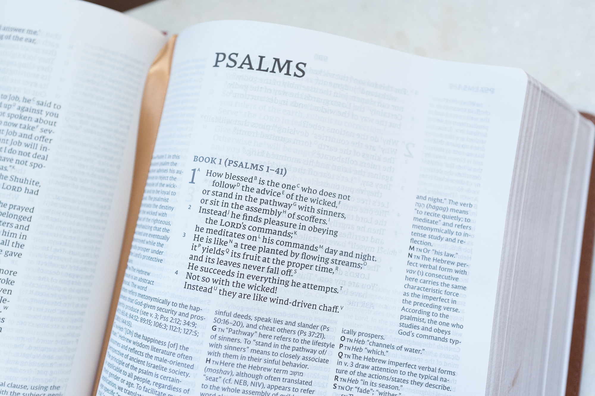 The Book of Psalms in the NET Bible